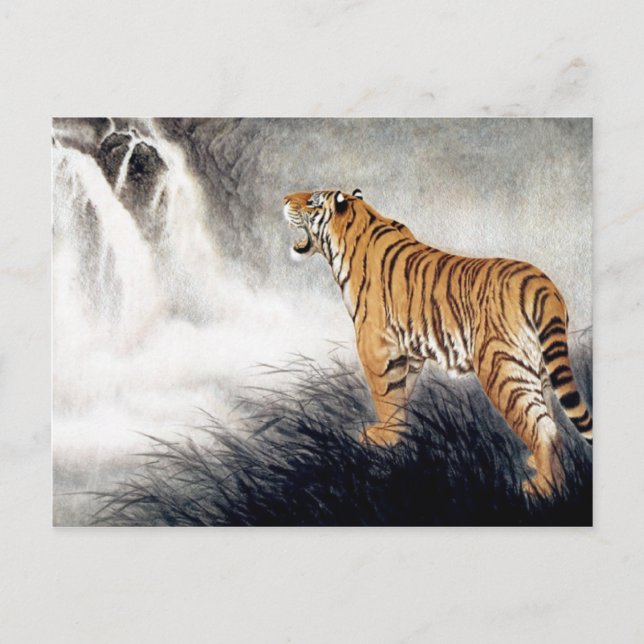 Stimme des Tigers Postkarte (Vorderseite)