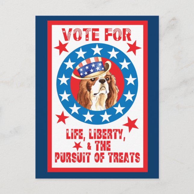 Stimme für Cavalier Postkarte (Vorderseite)