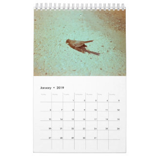 Stimmung: 2019 kalender