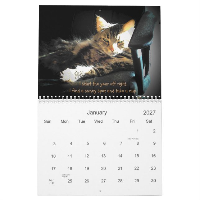 Stimmungen eines mürrischen Engels Kalender (Jan 2027)