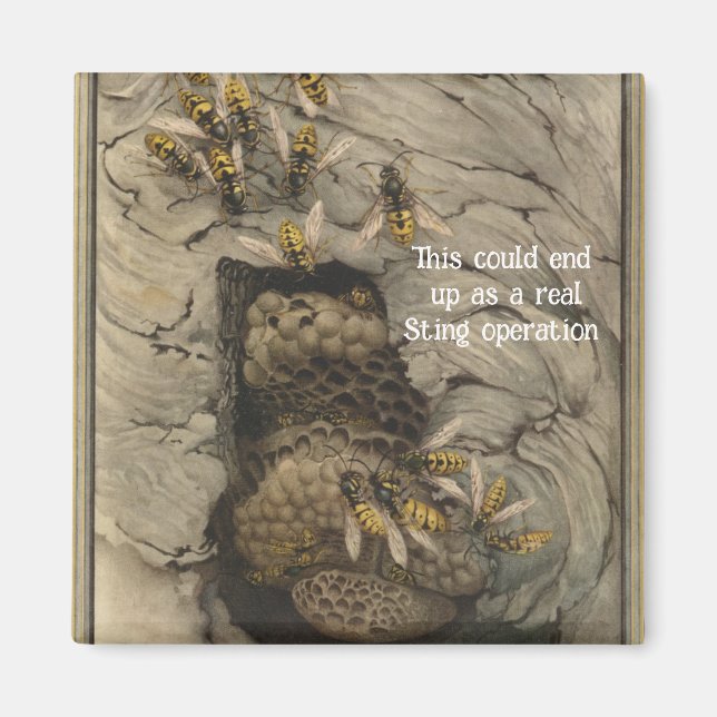 "Sting Operation" Magnet (Devant)