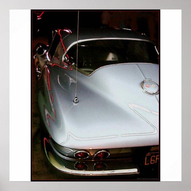 Sting Ray Poster (Vorne)