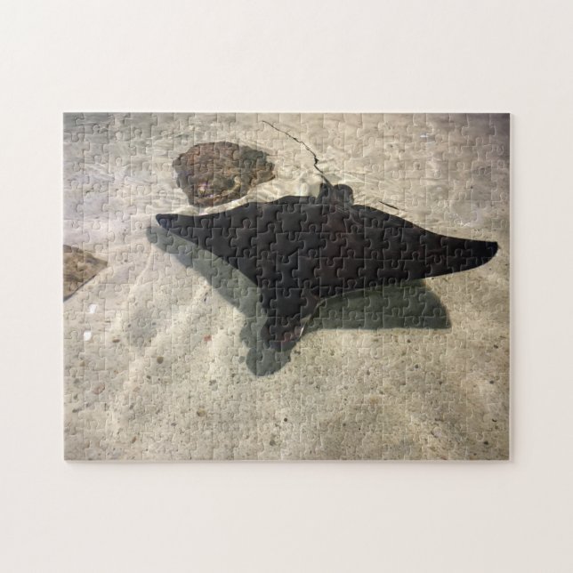 Stingray (Horizontal)