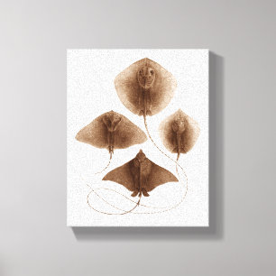 Stingray-#2 eingewickelte Leinwand-Wand-Kunst Leinwanddruck