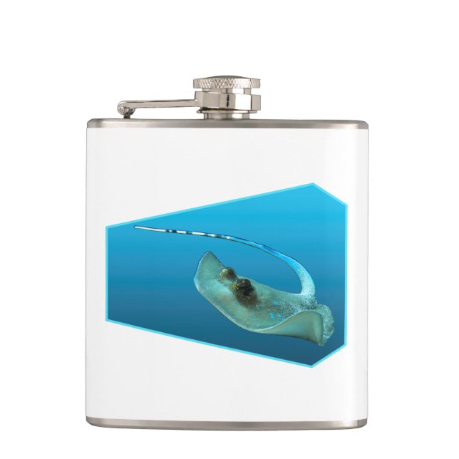 Stingray bewegt! Designgradientenblau | Flachmann (Vorderseite)
