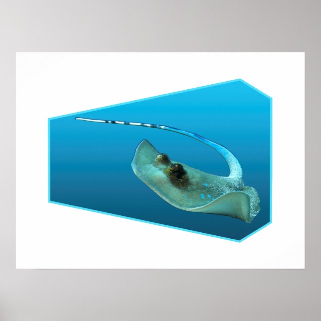 Stingray bewegt! Designgradientenblau | Poster (Vorne)