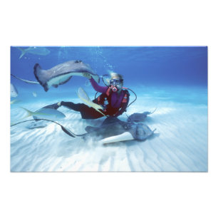 Stingray City, Grand Cayman, Cayman Islands, Fotodruck