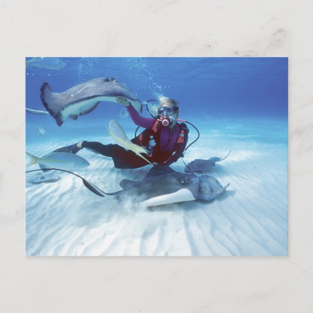 Stingray City, Grand Cayman, Cayman Islands, Postkarte (Vorderseite)
