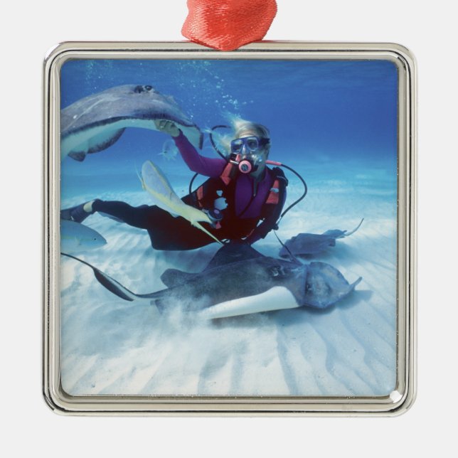 Stingray City, Grand Cayman, Cayman Islands, Silbernes Ornament (Vorne)