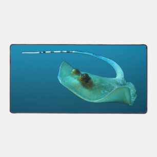 Stingray en mouvement ! Arrière - plan bleu dégrad