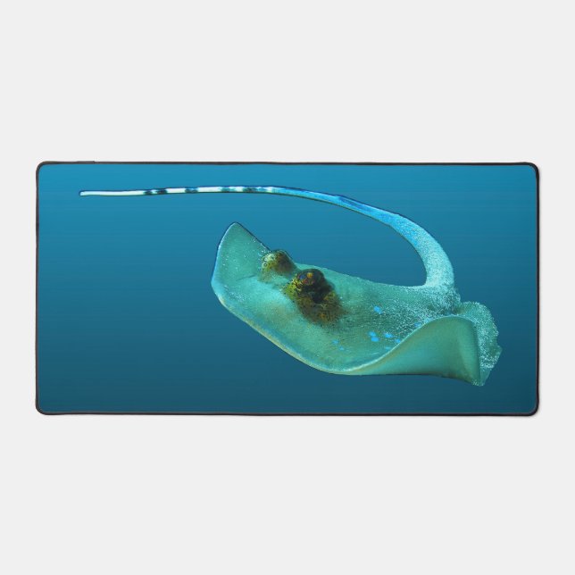 Stingray en mouvement ! Arrière - plan bleu dégrad (Recto)