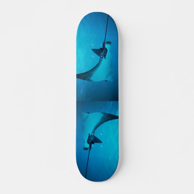 Stingray Skateboard (Vorne)