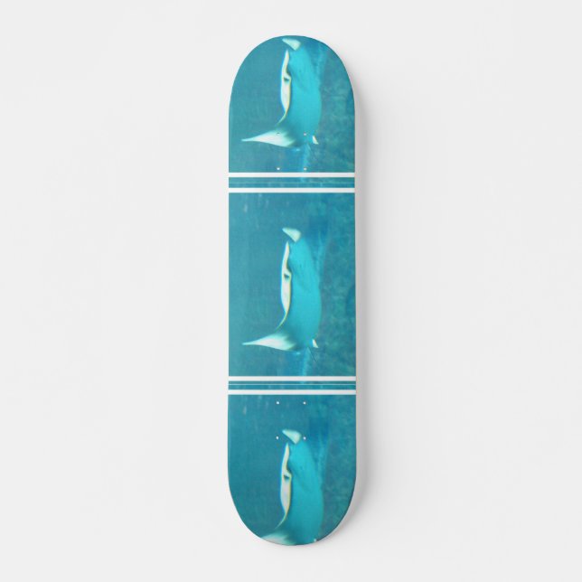 Stingray-Skateboard Skateboard (Vorne)