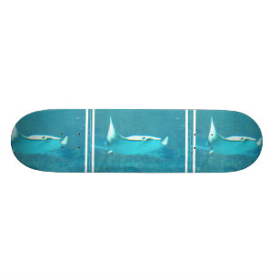 Stingray-Skateboard Skateboard