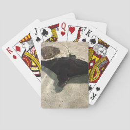 Stingray Spielkarten