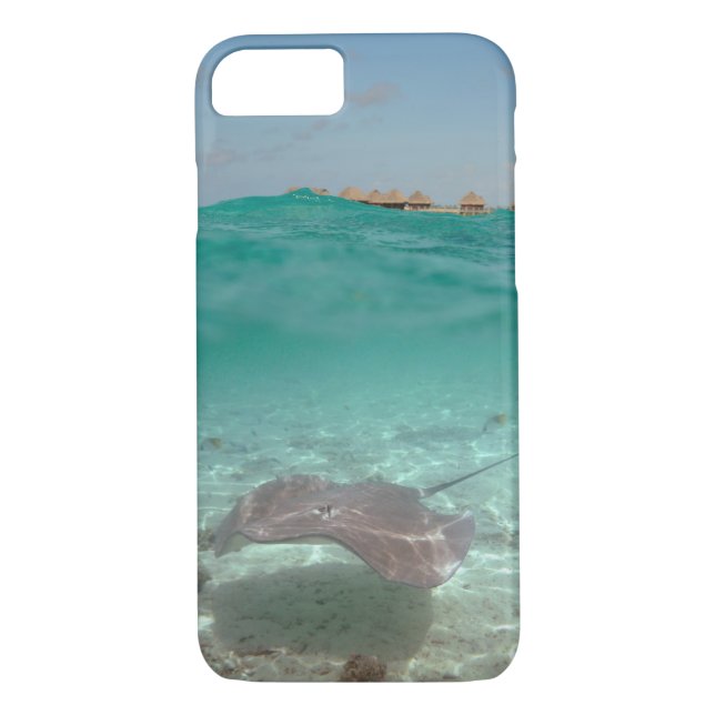 Stingray Unterwasser in Bora Bora iPhone 7 Fall Case-Mate iPhone Hülle (Rückseite)