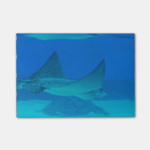 Stingrays Post-it Klebezettel