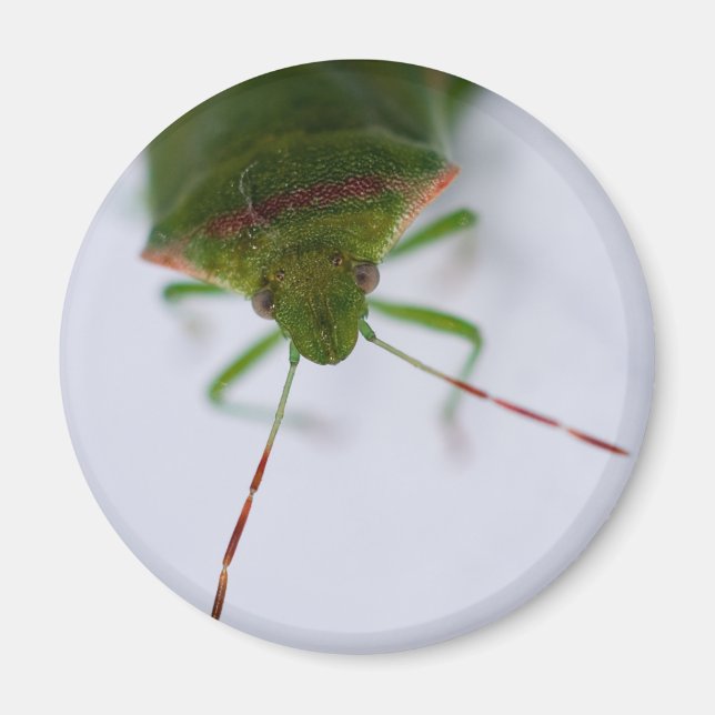 Stink Eye Magnet (Vorne)