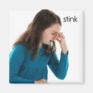 Stink Kühlschrank Magnet