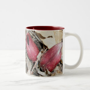 Stinkkohl-Tasse (Symplocarpus foetidus (L.) Zweifarbige Tasse
