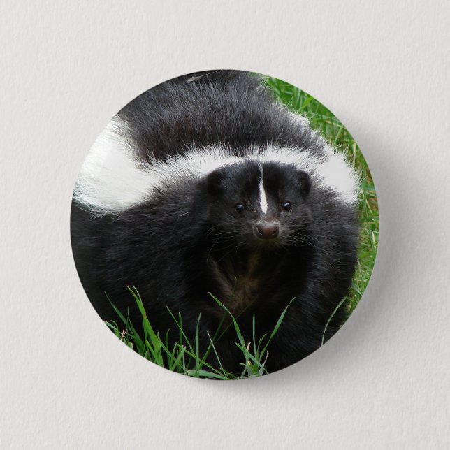 Stinktier-Foto-runder Knopf Button (Vorderseite)