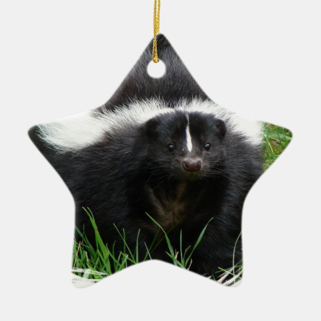 Stinktier-Foto-Verzierung Keramik Ornament (Vorne)