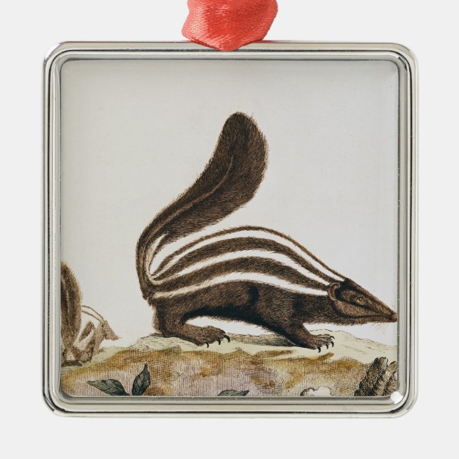 Stinktier, von "Histoire Naturelle" vorbei Ornament Aus Metall (Vorne)
