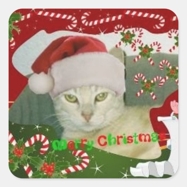 Stinky Weihnachten 1 Quadratischer Aufkleber (Vorderseite)