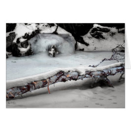 Stinson Bach Birchfall