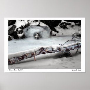 Stinson Bach Birchfall Plakat