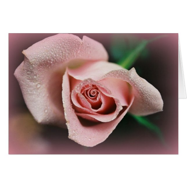 "Stipendium auf dem Weg" (Vorderseite (Horizontal))