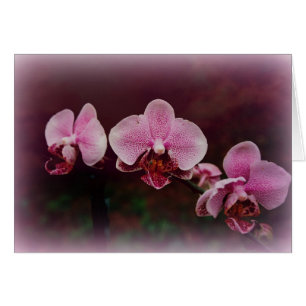 "Stipendium auf dem Weg "