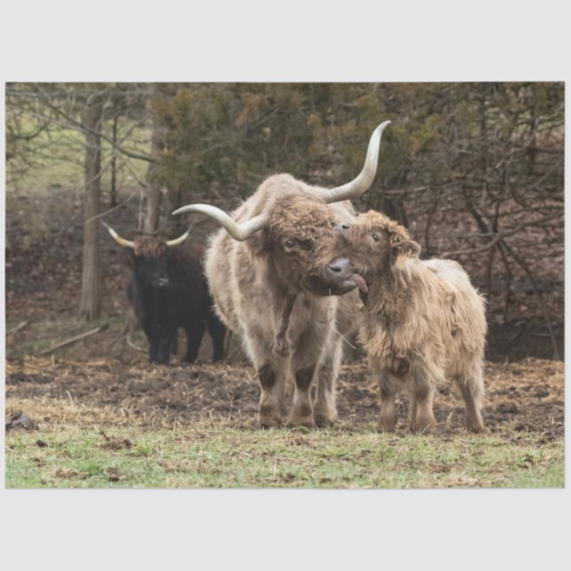 Stirling Skye Seidenpapier (Vorderseite)