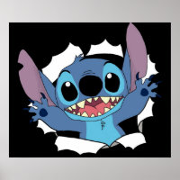 Stitch für Stitch Liebhaber