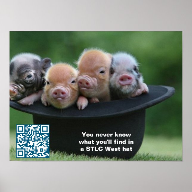 STLC West Hat Poster (Vorne)