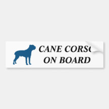 Stock Corso an Bord!