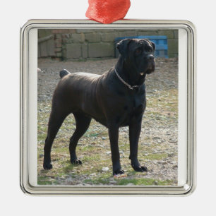 Stock corso full.png silbernes ornament