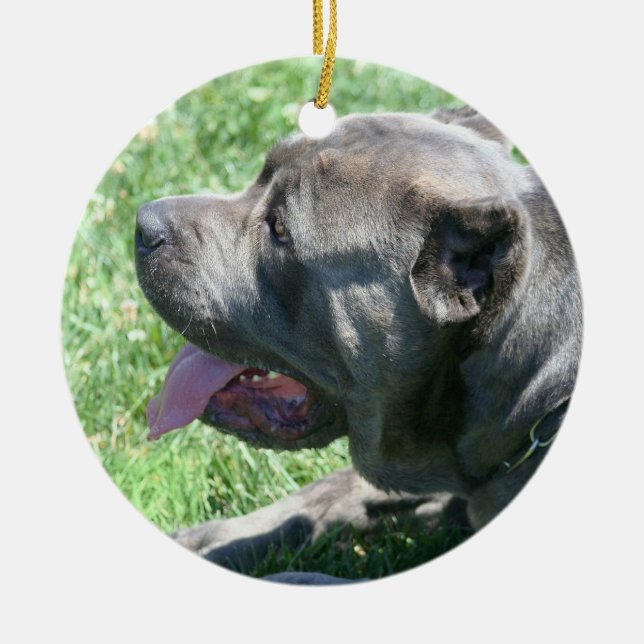 Stock corso Hundeverzierung Keramikornament (Vorne)