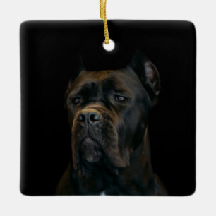 Stock Corso - italienischer Mastiff Keramikornament