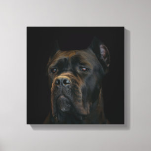 Stock Corso - italienischer Mastiff Leinwanddruck