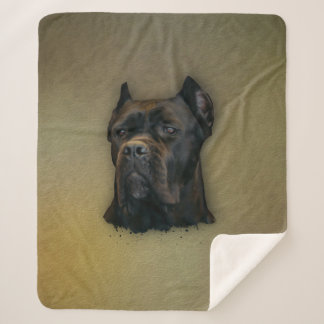 Stock Corso - italienischer Mastiff Sherpadecke