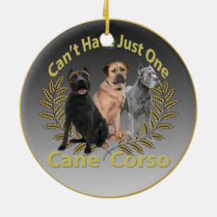 Stock Corso "kann gerade eine" Verzierung nicht Keramik Ornament