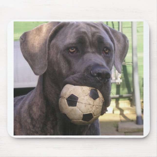 Stock corso.png mousepad (Vorne)