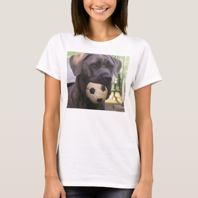 Stock corso.png T-Shirt (Vorderseite)