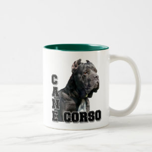 Stock Corso Tasse