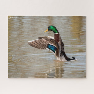 Stockente