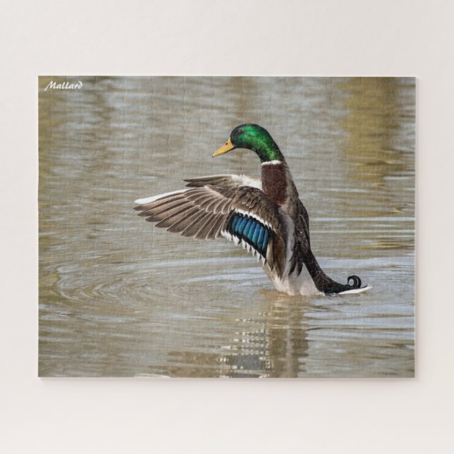 Stockente (Horizontal)