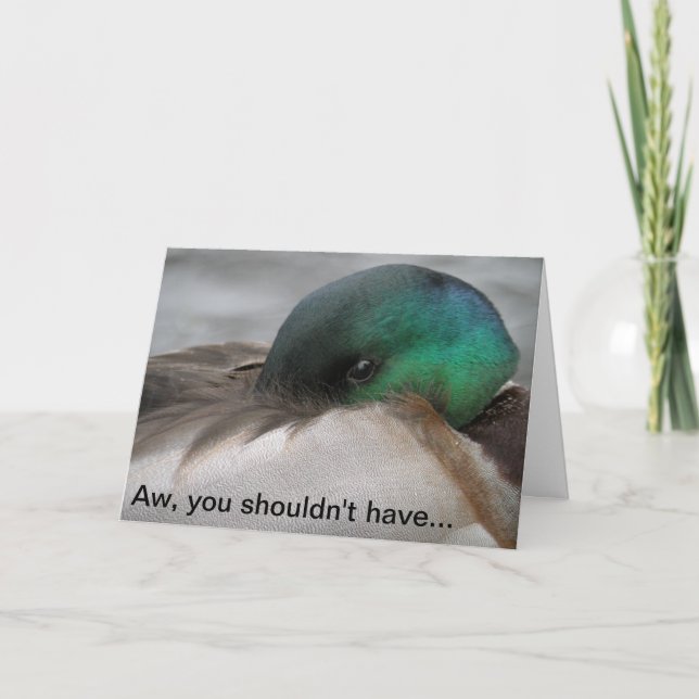Stockente Drake danken Ihnen Dankeskarte (Vorderseite)