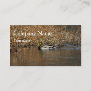 Stockente Drake Visitenkarte