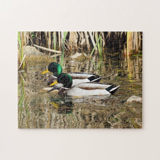 Stockente duckt Puzzlespiel (Horizontal)